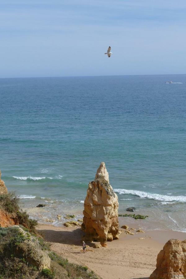 Praia Da Rocha, Algarve Sunny Apartment Portimão Εξωτερικό φωτογραφία